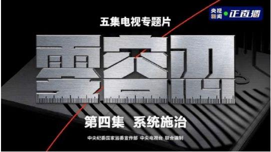 《零容忍》：新时期反恶臭交游的荧屏利剑