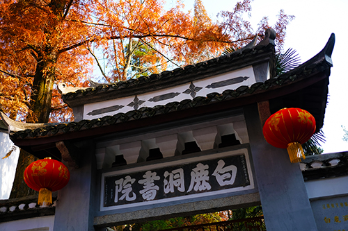 书院“复活”