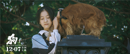 从《狗十三》到《少年的你》：青春的冷与暖