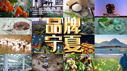 《品牌宁夏》实现省区形象宣传破圈传播