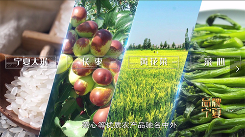 《品牌宁夏》实现省区形象宣传破圈传播