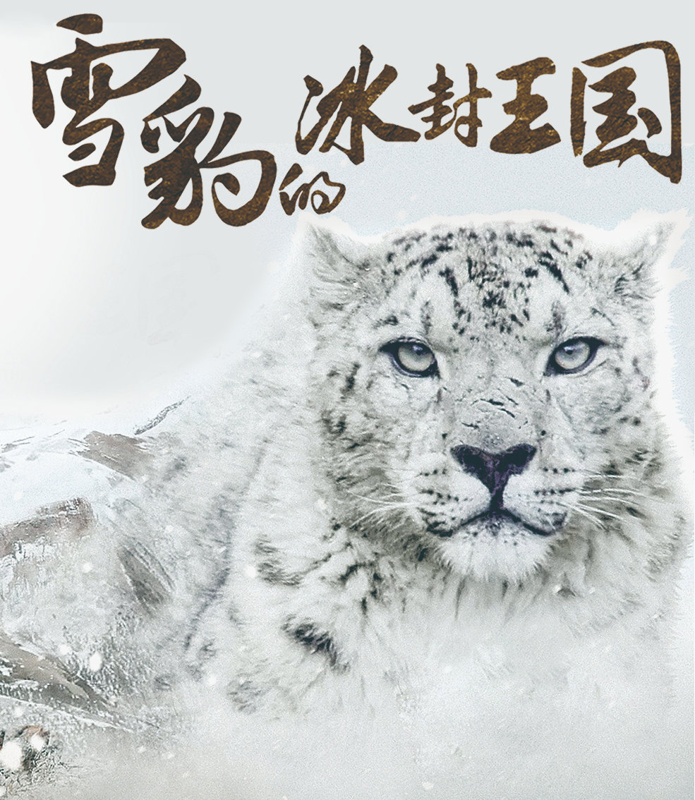《雪豹的冰封王国》：讲述生物多样性的中国故事
