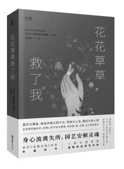 花花草草的疗愈力量