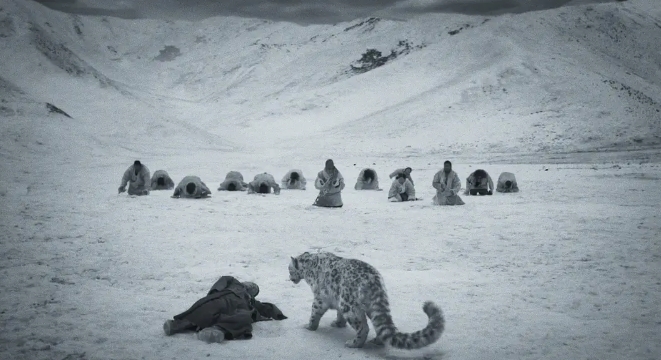 《雪豹》：雪山的精灵与凡间的超越