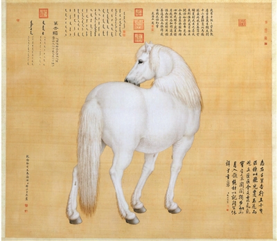 人与动物和谐共生的祥瑞自然