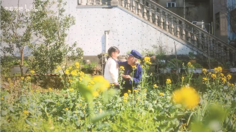 用短剧语法打开文学经典