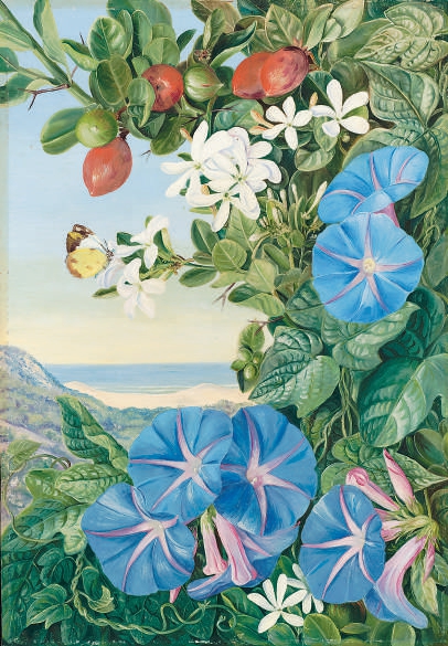 最美的花朵啊 它的名字叫勇气