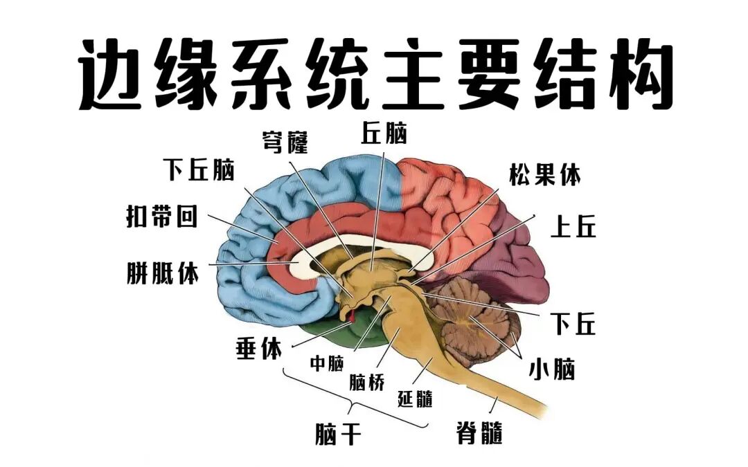 微短剧精品化：一个伪命题？