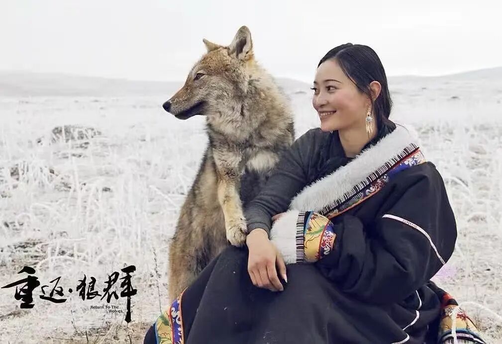 2026春节档:资本不敢赌,导演不敢拍,观众不敢信