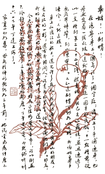 一张花笺:纸上秩序如何托住一封信