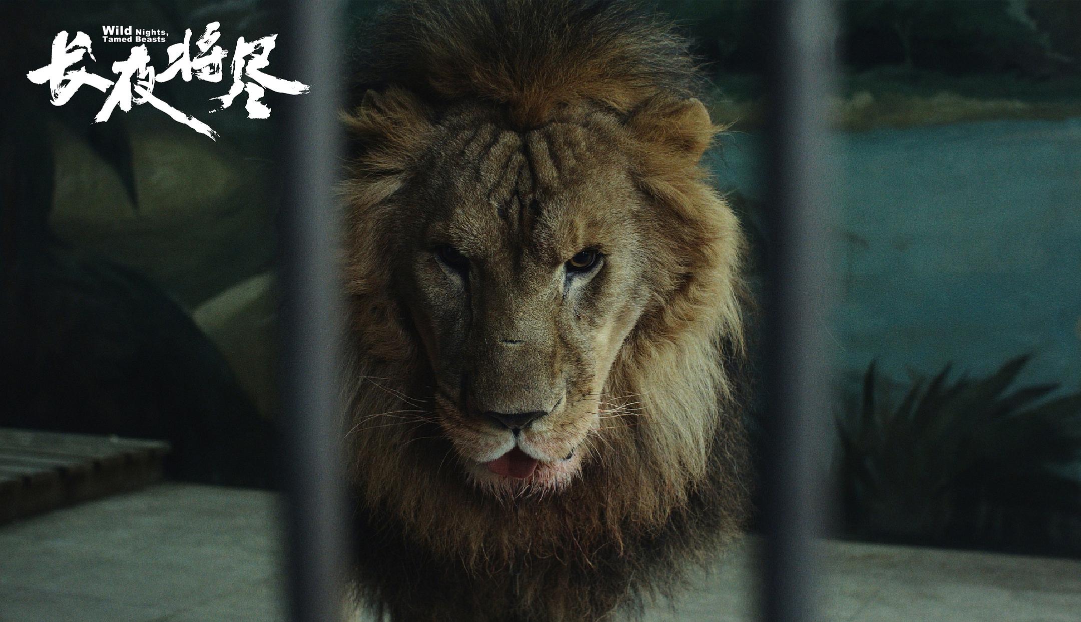 饶晓志：演马德勇是圆梦，更是与小人物的灵魂共振