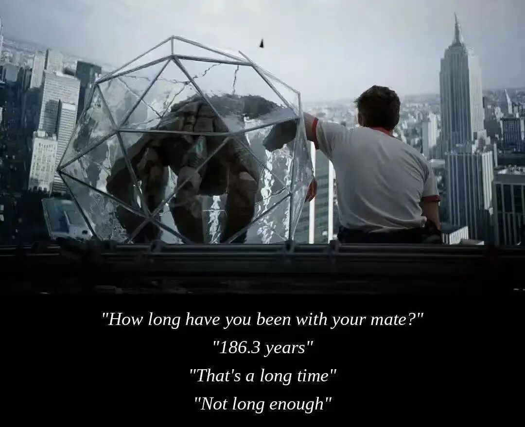 宇宙星光处,心安即吾乡——观《挽救计划》