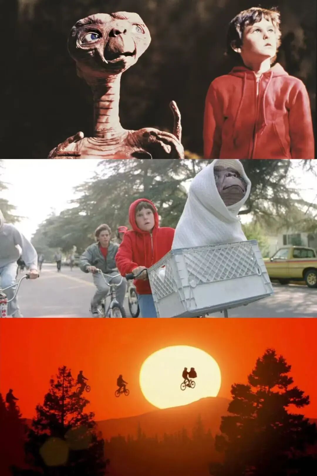 宇宙星光处,心安即吾乡——观《挽救计划》