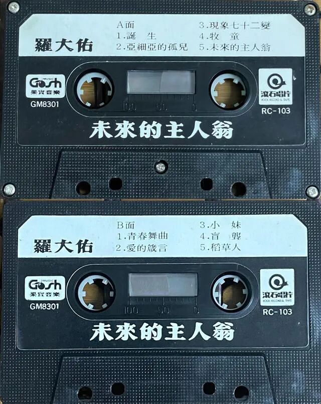 一位“传歌者”的时代回响——“王洛宾现象”再认识